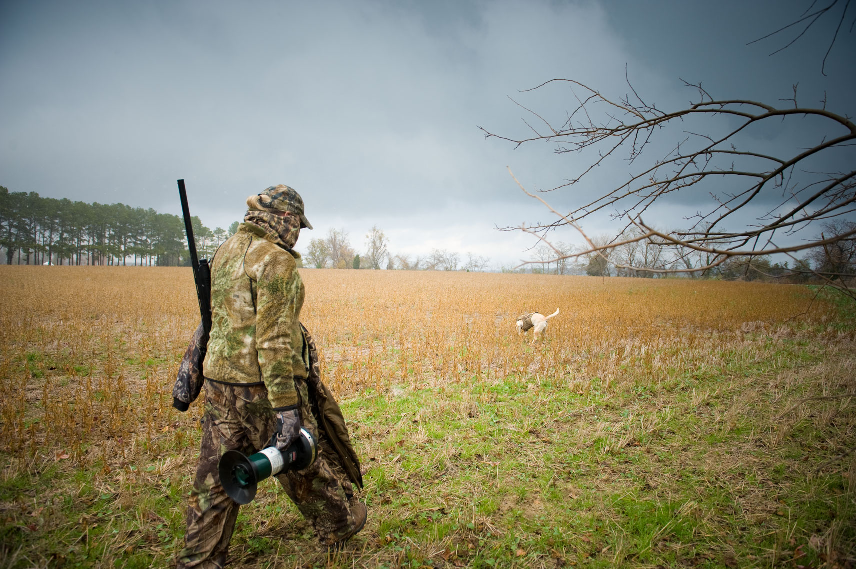 Hunting for waterfowl on the Eastern Shore of Maryland, by Maryland ...