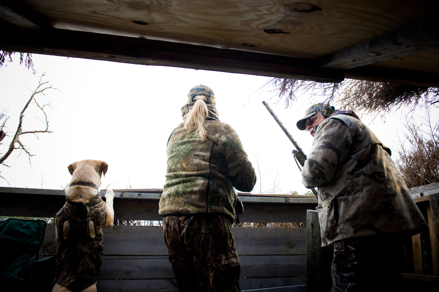 Hunting for waterfowl on the Eastern Shore of Maryland: ready to fire at approaching birds from the blind