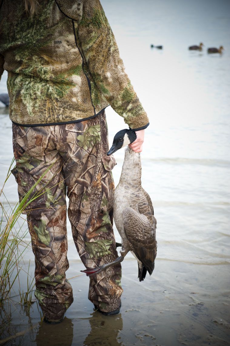Hunting for waterfowl on the Eastern Shore of Maryland: a goose hangs limply from a hunter