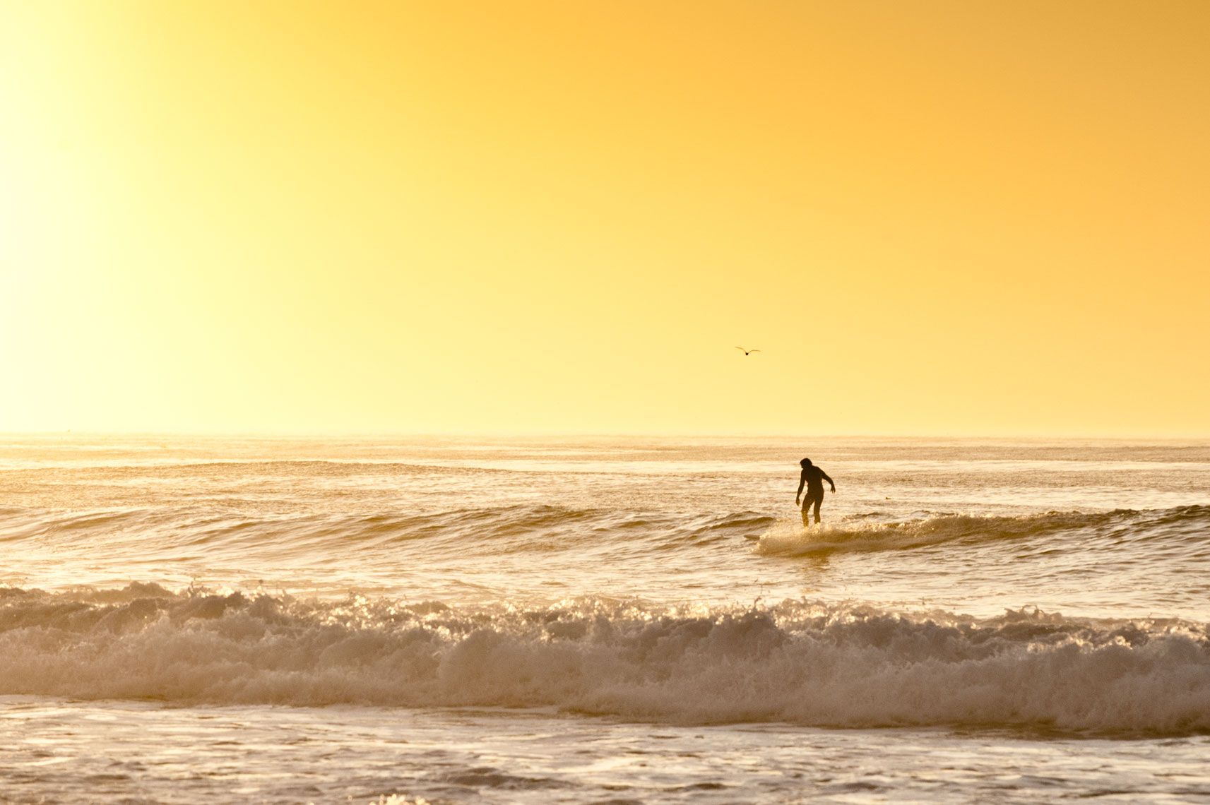 Surfer rides a wave at Asilomar State Beach in Pacific Grove, California