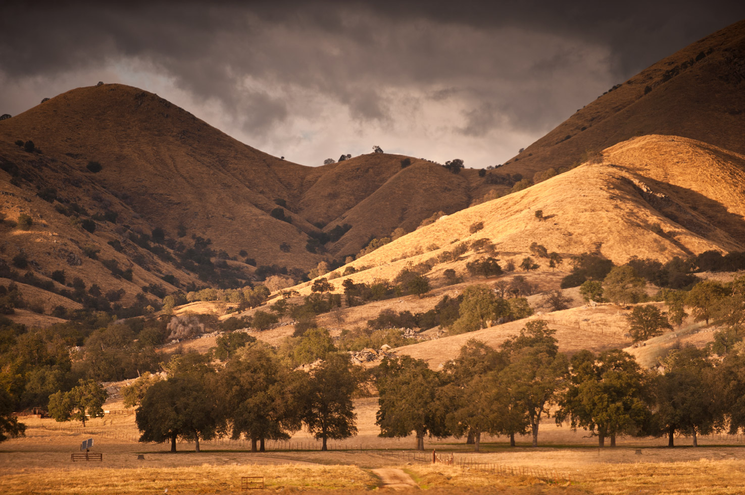 An empty road leads to a ranch in the dappled hills of the Yokohl Valley, California