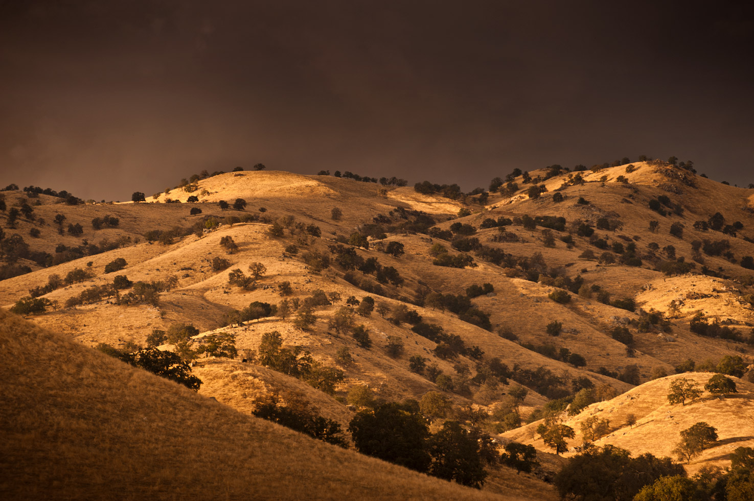 Golden sunlight dapples the hills around the Yokohl Valley, California