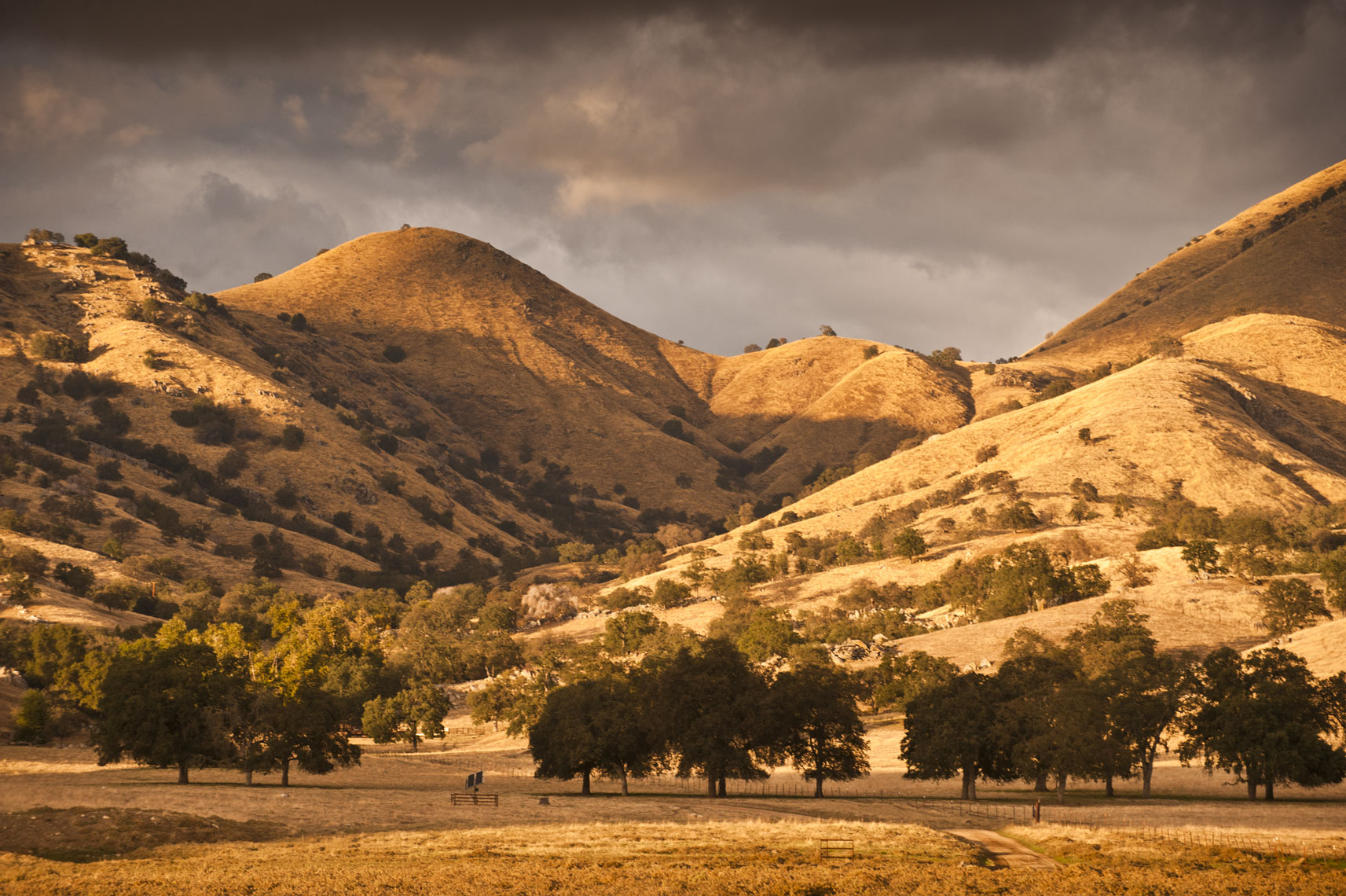 Sunlight blazing on the golden hills of Yokohl Valley, California, under a dark sky