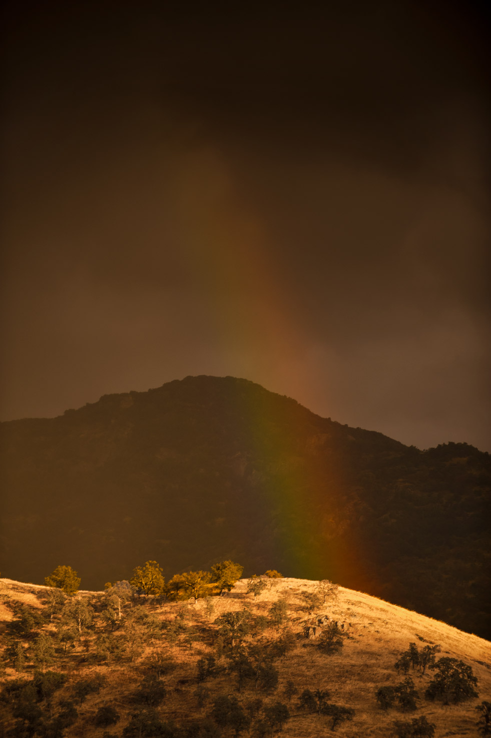 A rainbow lands on a sunny hilltop in the middle of a storm in the Yokohl Valley, California
