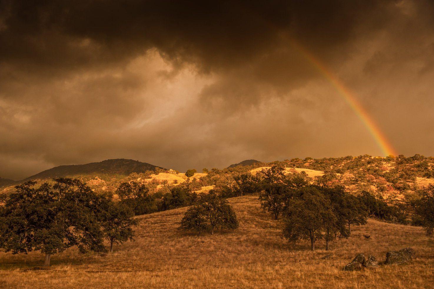 A rainbow comes down from dark skies as sun hits the top of a hill in the Yokohl Valley, California