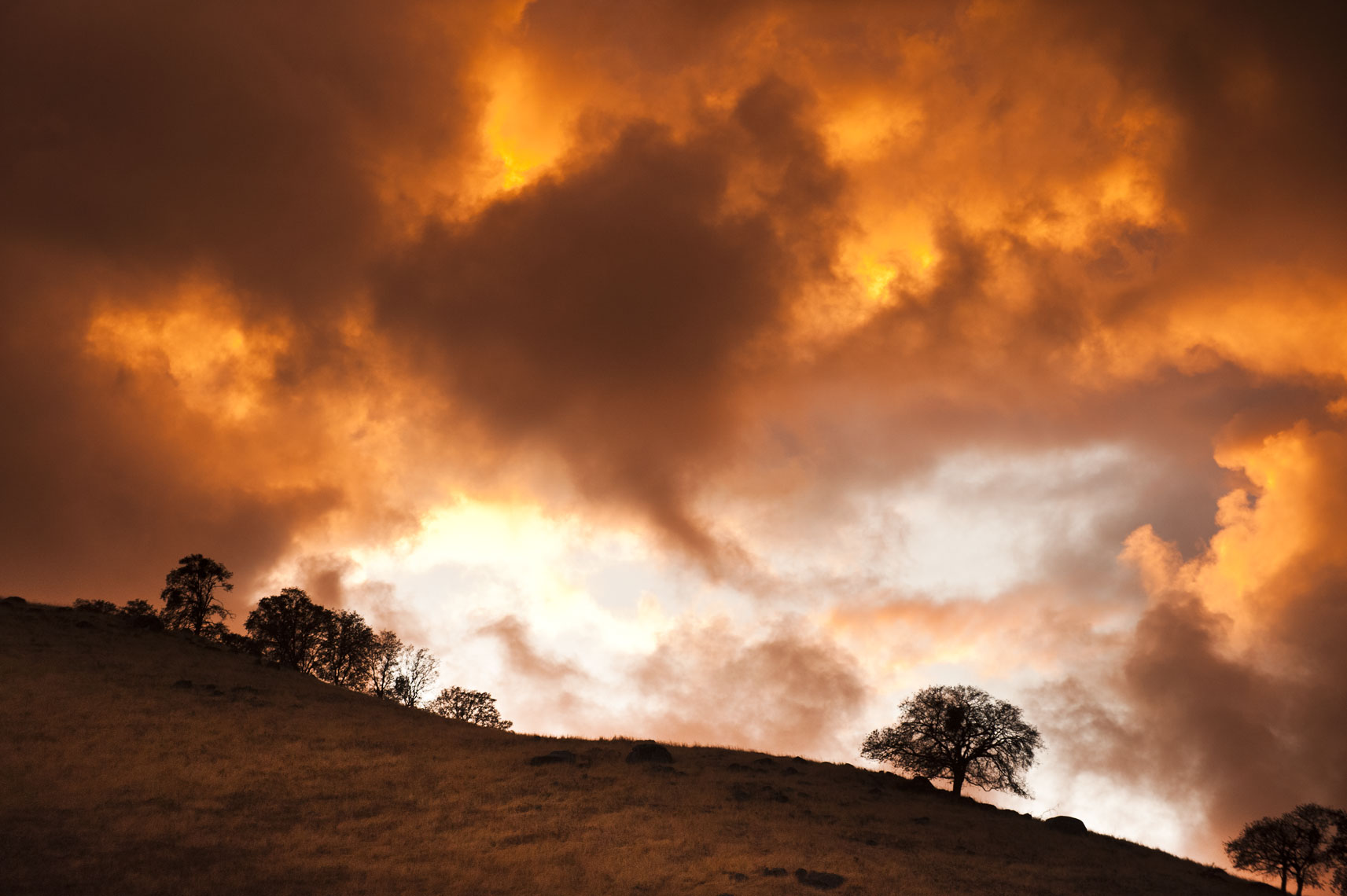 Trees silhouetted against a stormy sunset in the Yokohl Valley, California