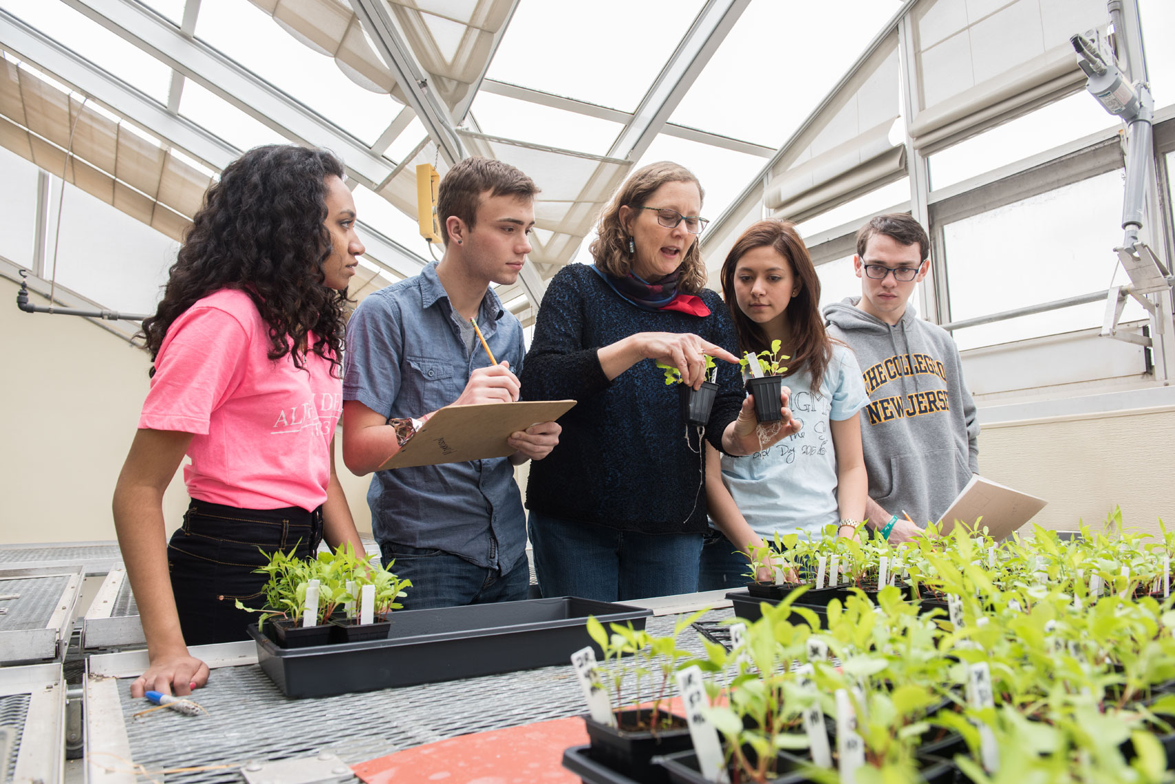 Students from the College of New Jersey gather around a plant biology professor in a greenhouse