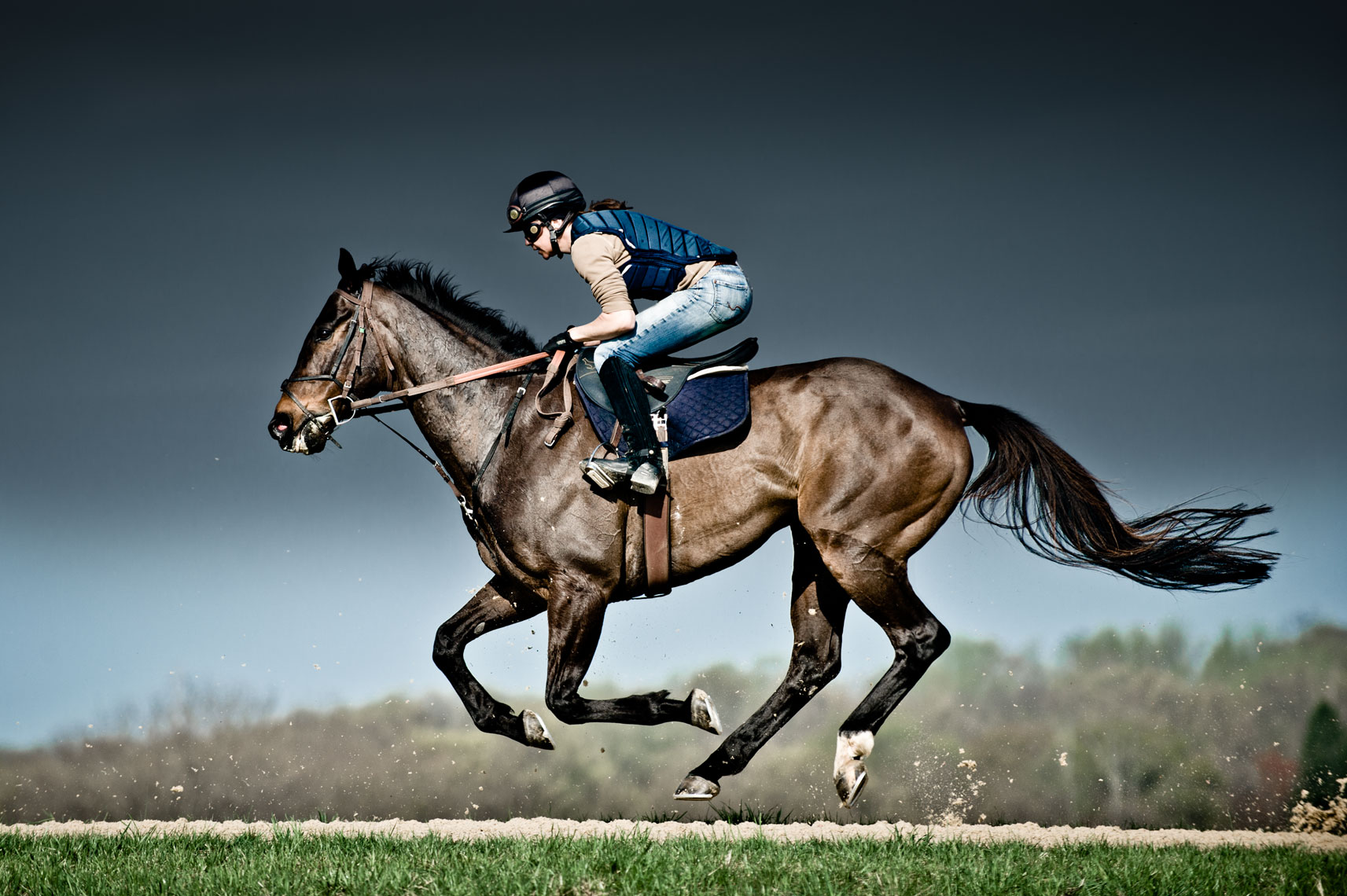 Female jockey riding on a muscular race horse
